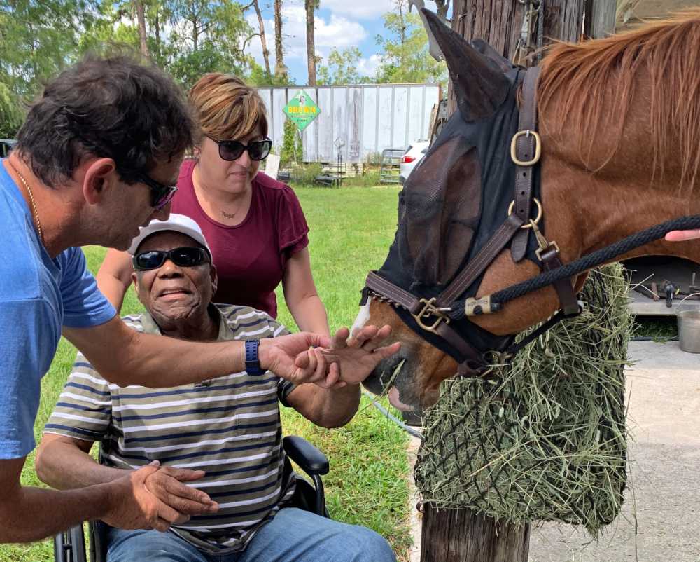 A team member at the farm holds Roy's hands to show him how to touch the horses